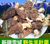 內(nèi)江蔬菜種植產(chǎn)業(yè)與食用菌菌種進(jìn)出口市場(chǎng)的并行發(fā)展